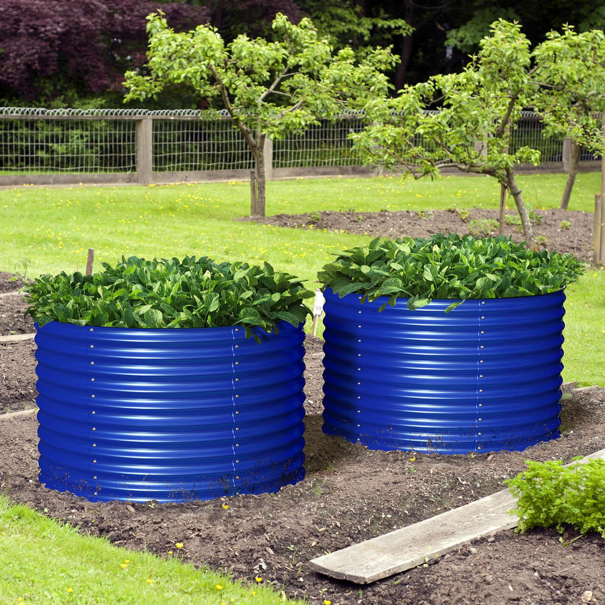 Olle Gardens 32" Tall x 42" Round Raised Garden Bed