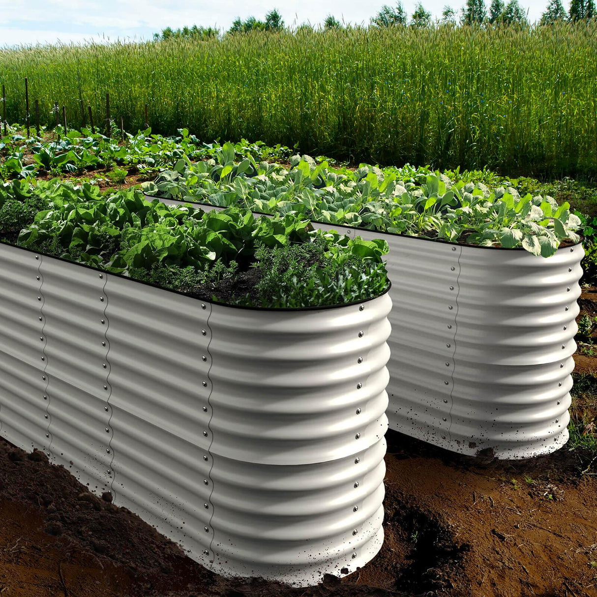Olle Gardens 32" Tall 12-in-1 Raised Garden Bed – Durable Modular Planter