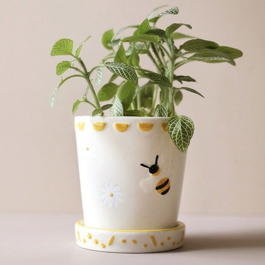 Honey Bee Ceramic Planter Pot with Matching Drainage Tray