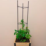 Vegetable Cage