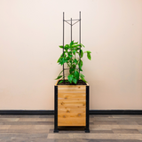 Vegetable Cage