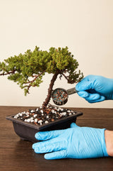 The Bonsai Supply Slow Release Bonsai Fertilizer (18-4-10)