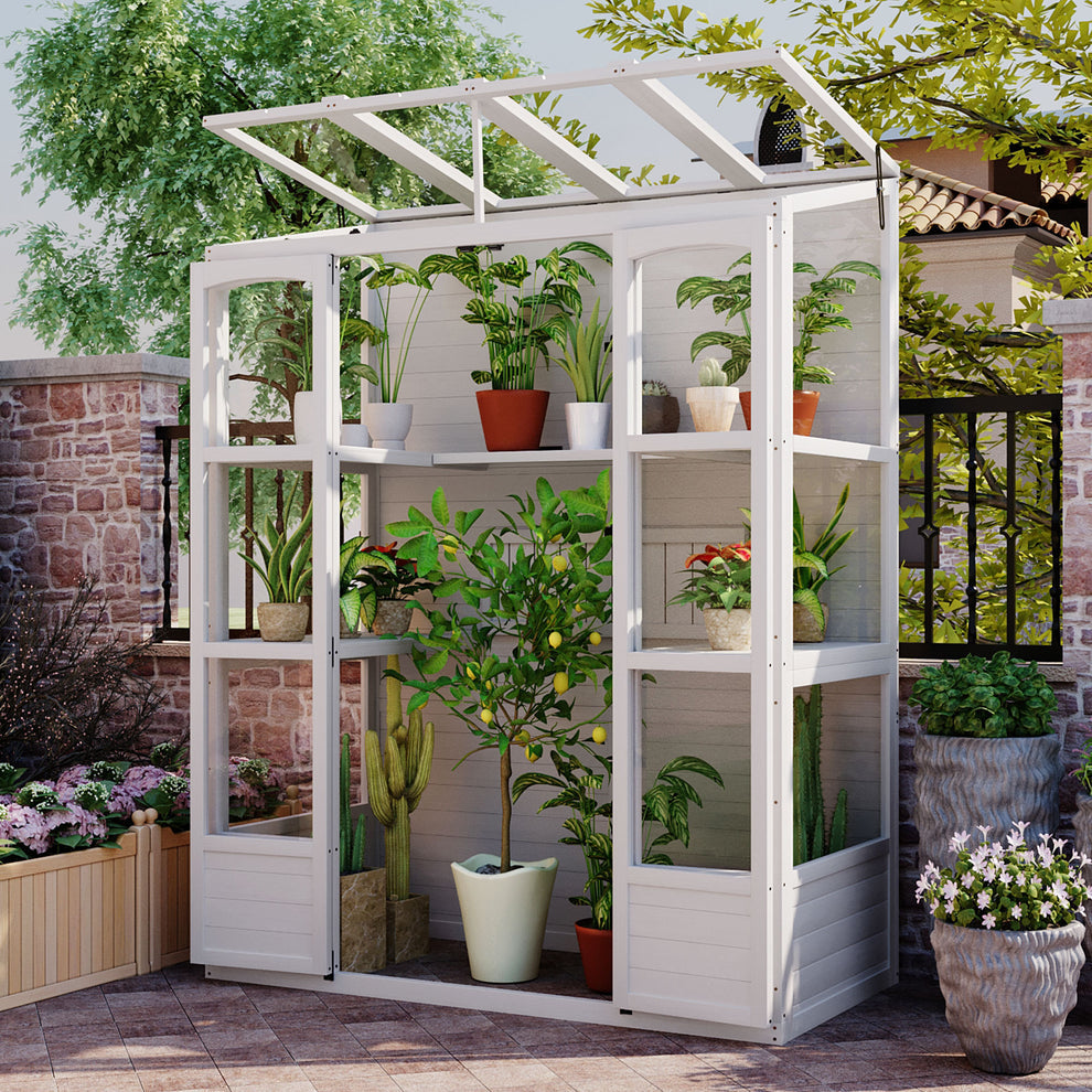 78 Inch Wooden Greenhouse Cold Frame White - Monster Gardens