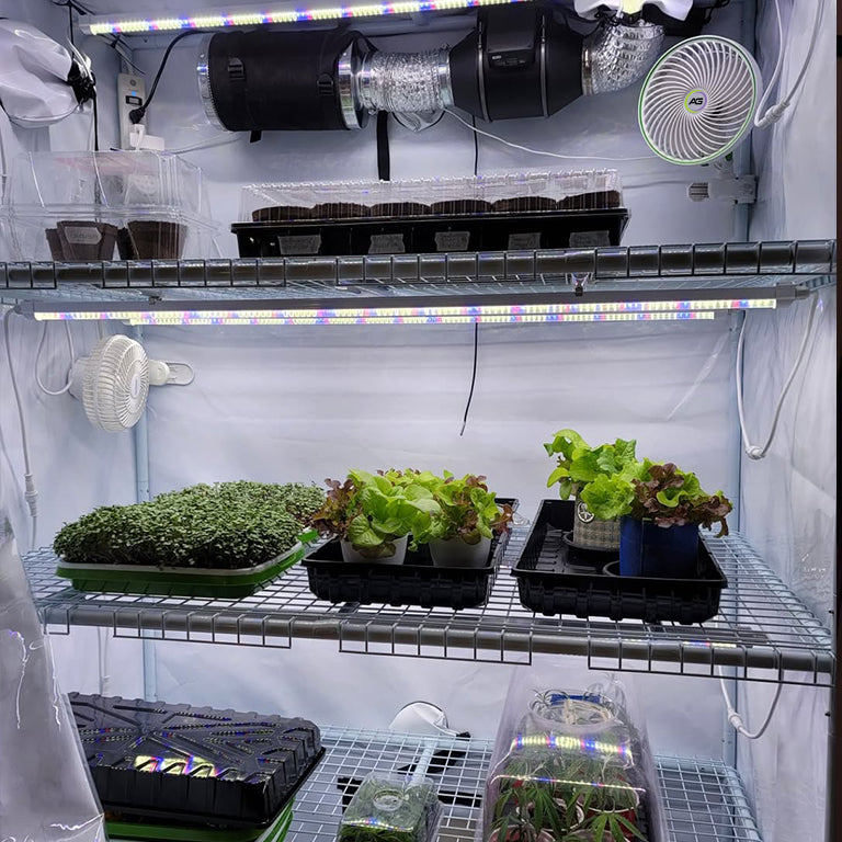 Clones & Cuttings 3-Tier Walden White LED Grow Tent Kit – Germination & Propagation System