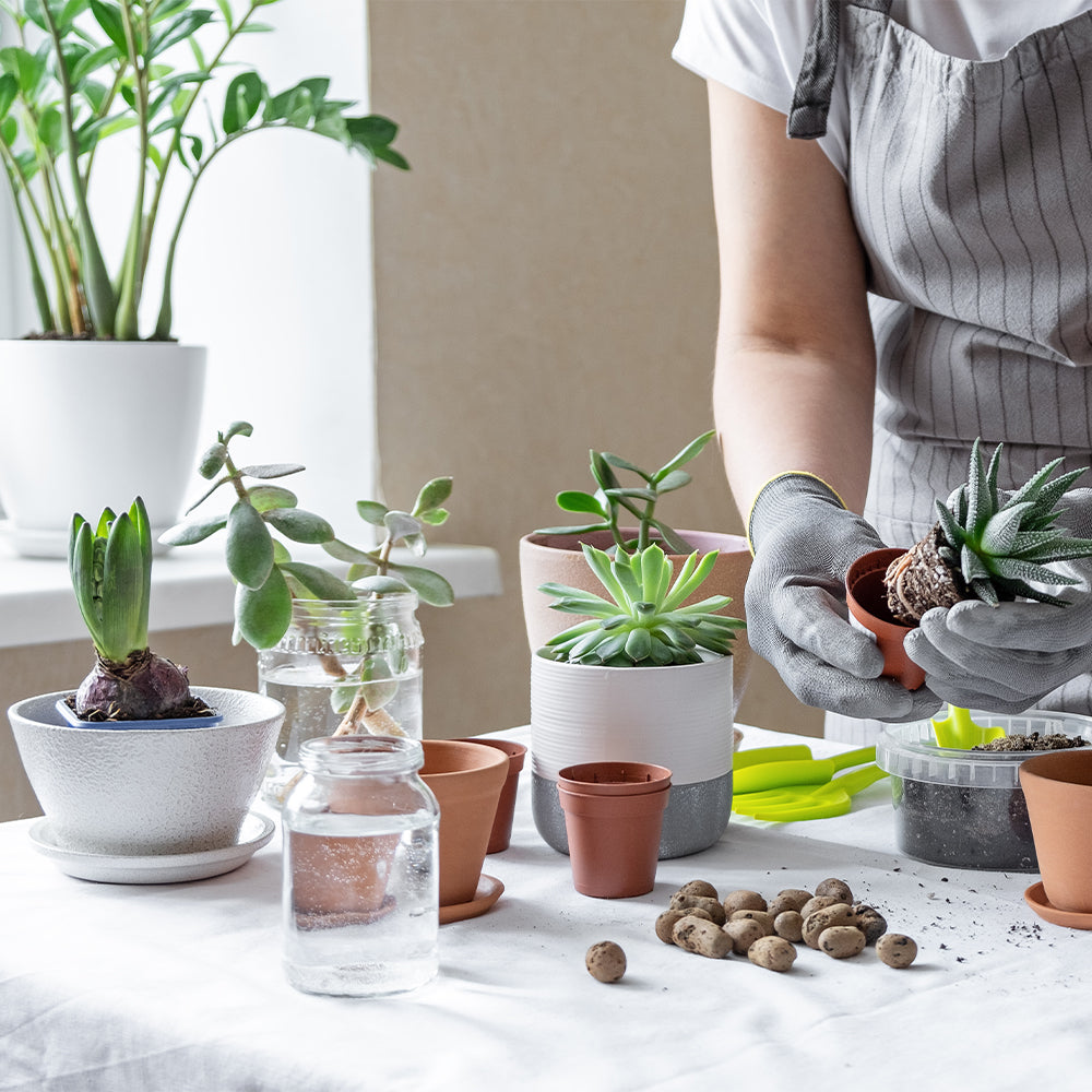 House Plants 3-Tier Walden White LED Grow Tent Kit