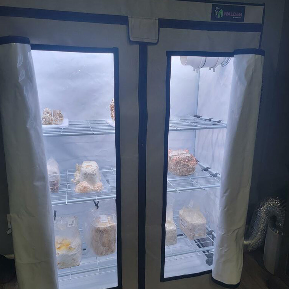 mushroom grow tent kit Mushroom Fruiting & Incubation 3-Tier Walden White LED Grow Tent Kit