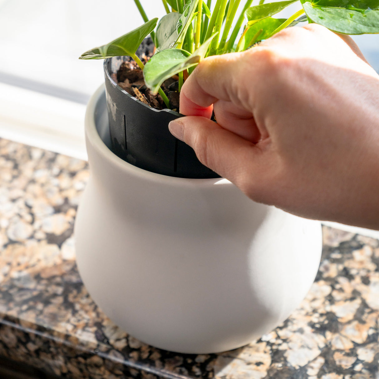 Alabaster White Ceramic Plant Pot with Removable Liner