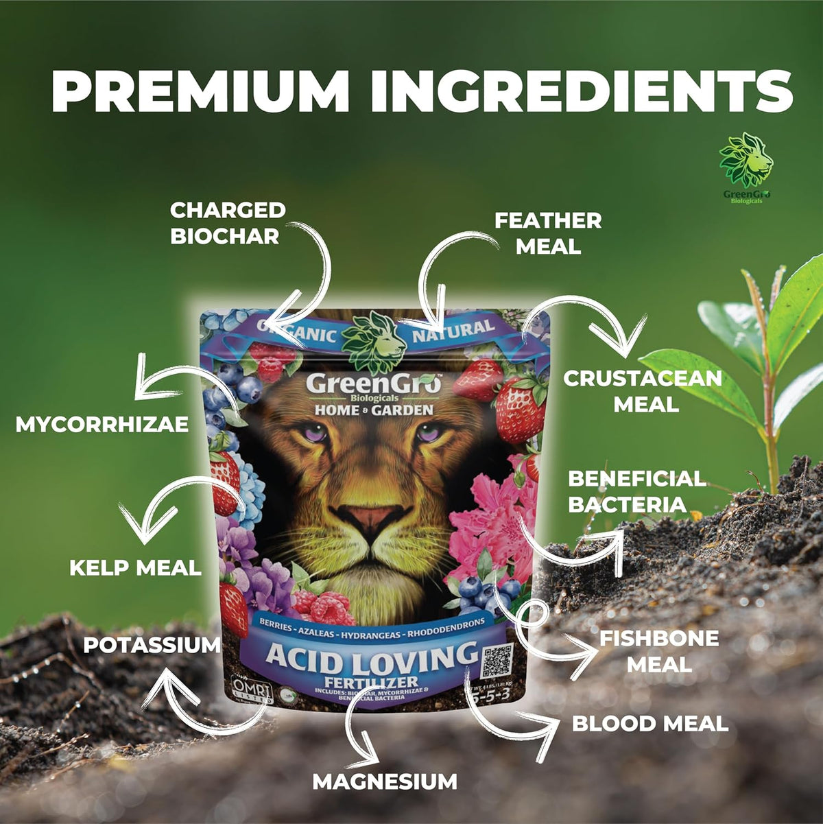 A can of GreenGro Acid Loving Fertilizer for home and garden lions, surrounded by callout arrows and text highlighting premium ingredients like feather meal, crustacean meal, kelp meal, and beneficial bacteria, set against a green background with soil and a small plant.