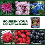 A promotional collage for GreenGro Acid Loving Plants, featuring photos of rhododendrons, azaleas, hydrangeas, camellias, strawberries, and blueberries around the text 'NOURISH YOUR ACID LOVING PLANTS' and a pouch of the plant food. The product packaging shows a lion graphic and the brand GreenGro.