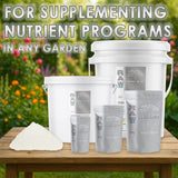 RAW Amino Acids – L-Glycine & L-Glutamic Acid Water-Soluble Biostimulant