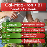 Hormex Mother Mist – Cal-Mag-Iron + B1 Plant Spray for Cloning & Growth
