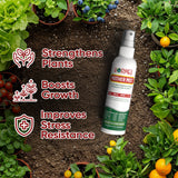 Hormex Mother Mist – Cal-Mag-Iron + B1 Plant Spray for Cloning & Growth