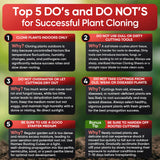 Hormex Rooting Cubes – Coco & Peat Starter Plugs for Cloning & Seeds