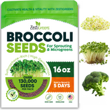 ZestiGreens Organic Broccoli Seeds – Sprouts & Microgreens