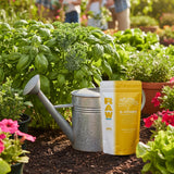 RAW B-Vitamin | Vitamin B1 + Magnesium Water-Soluble Plant Supplement