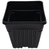 Black Square Dura Pot (Packs)