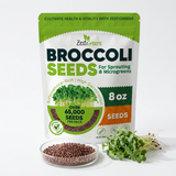 ZestiGreens Organic Broccoli Seeds – Sprouts & Microgreens