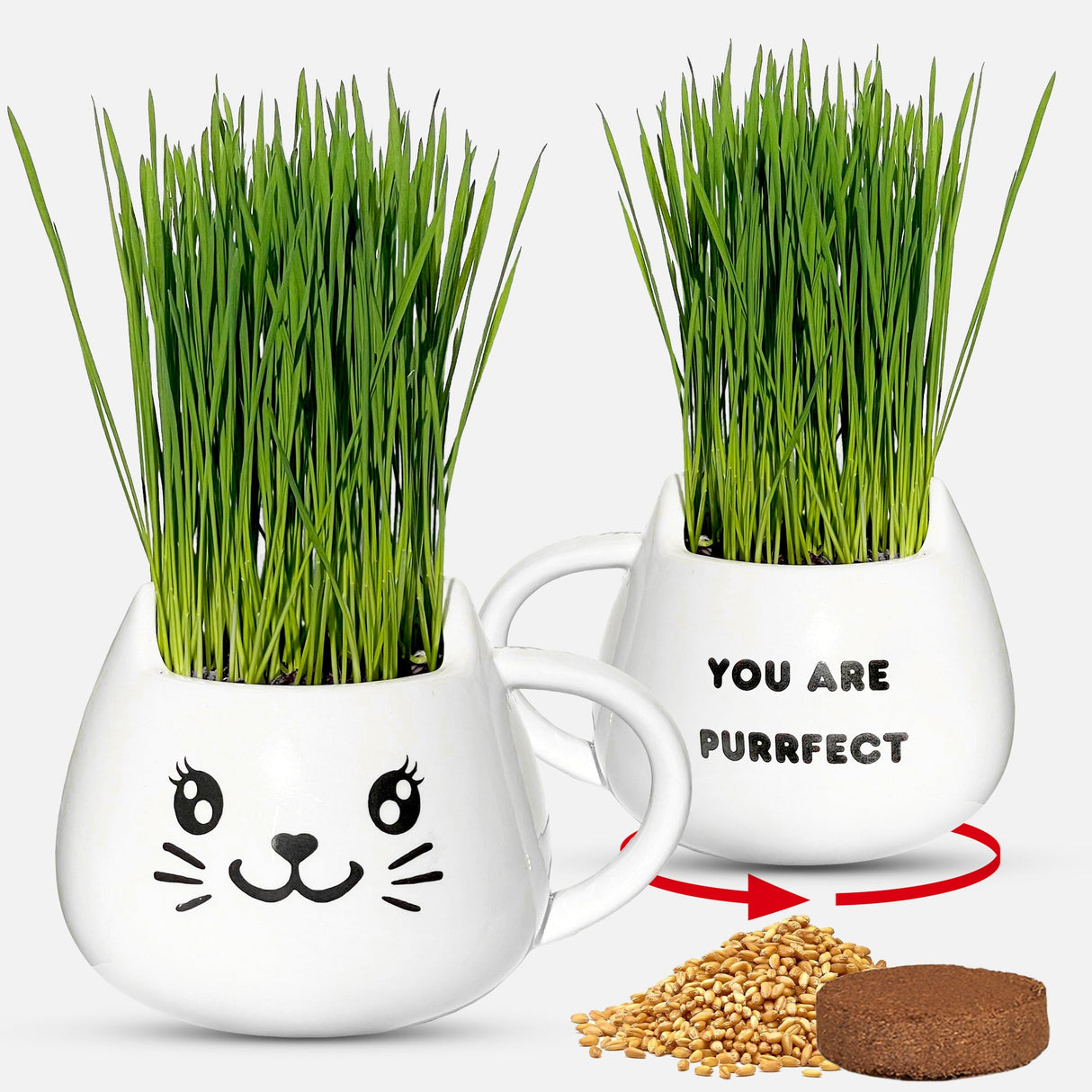 ZestiGreens Cat Grass Mug Growing Kit – Ceramic Planter with Organic Wheatgrass Seeds