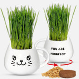 ZestiGreens Cat Grass Mug Growing Kit – Ceramic Planter with Organic Wheatgrass Seeds
