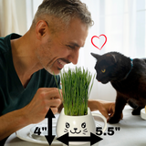 ZestiGreens Cat Grass Mug Growing Kit – Ceramic Planter with Organic Wheatgrass Seeds
