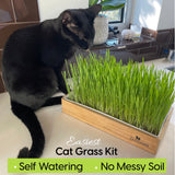 ZestiGreens Self-Watering Cat Grass Kit – Organic Wheatgrass Growing Tray with Hemp Mat