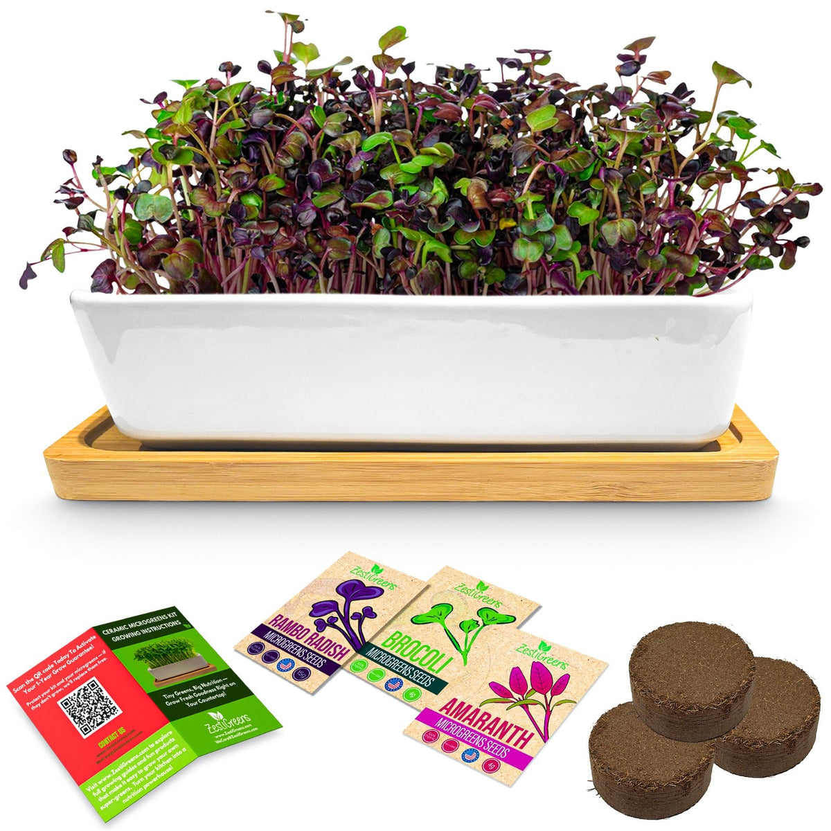 ZestiGreens Ceramic Microgreens Growing Kit - Red Amaranth, Rambo Radish & Broccoli