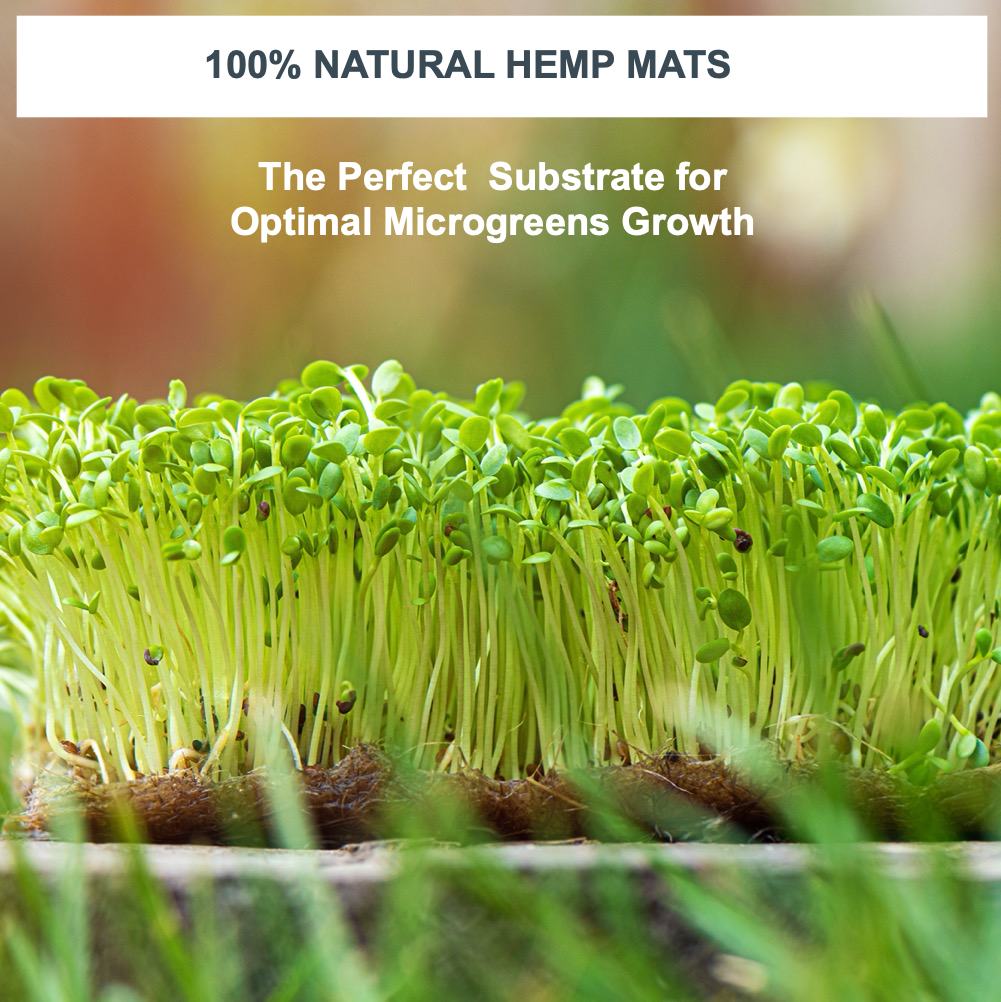 ZestiGreens Hemp Grow Mats – 10-Pack Microgreen Mats