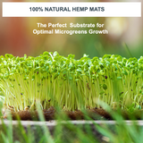 ZestiGreens Hemp Grow Mats – 10-Pack Microgreen Mats