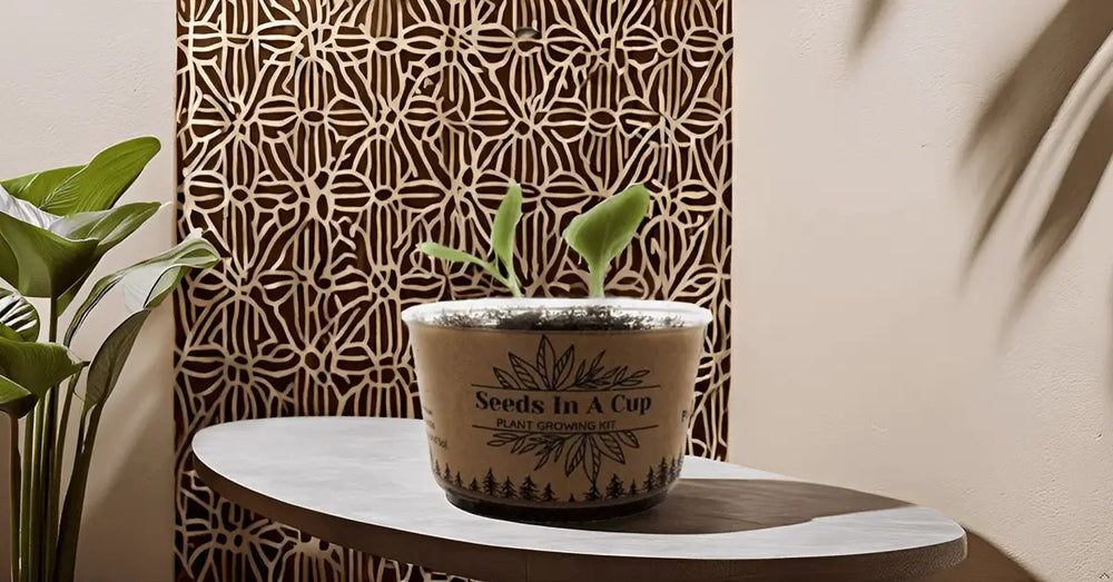 Onion | Plant Seed Starter Grow Kit | Seeds In A Cup®