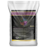 Cutting Edge Louder Powder - Bloom B (0-25-24)