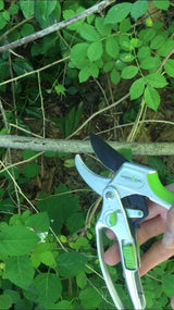 Garden Guru 2-in-1 Garden Ratchet Pruning Shears Clippers