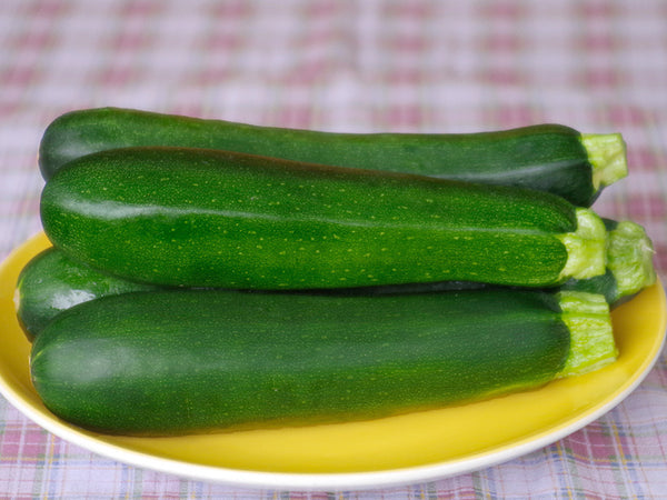 Dark Star Organic Zucchini Seeds