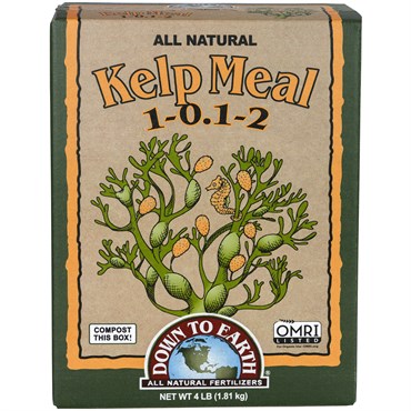 Box of Down to Earth Kelp Meal fertilizer on a white background