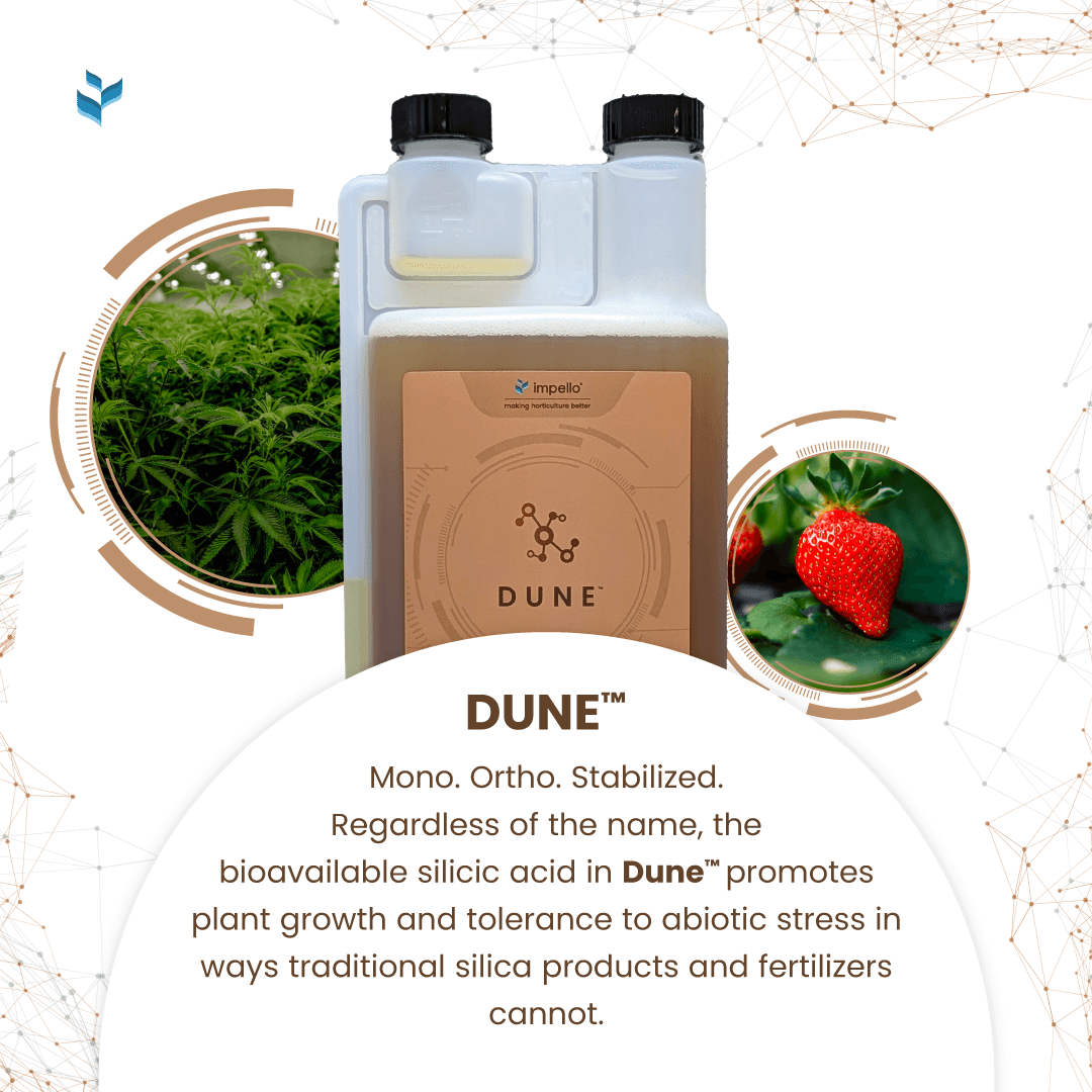 Impello Biosciences Dune Stabilized Monosilicic Acid - Thumbnail 3