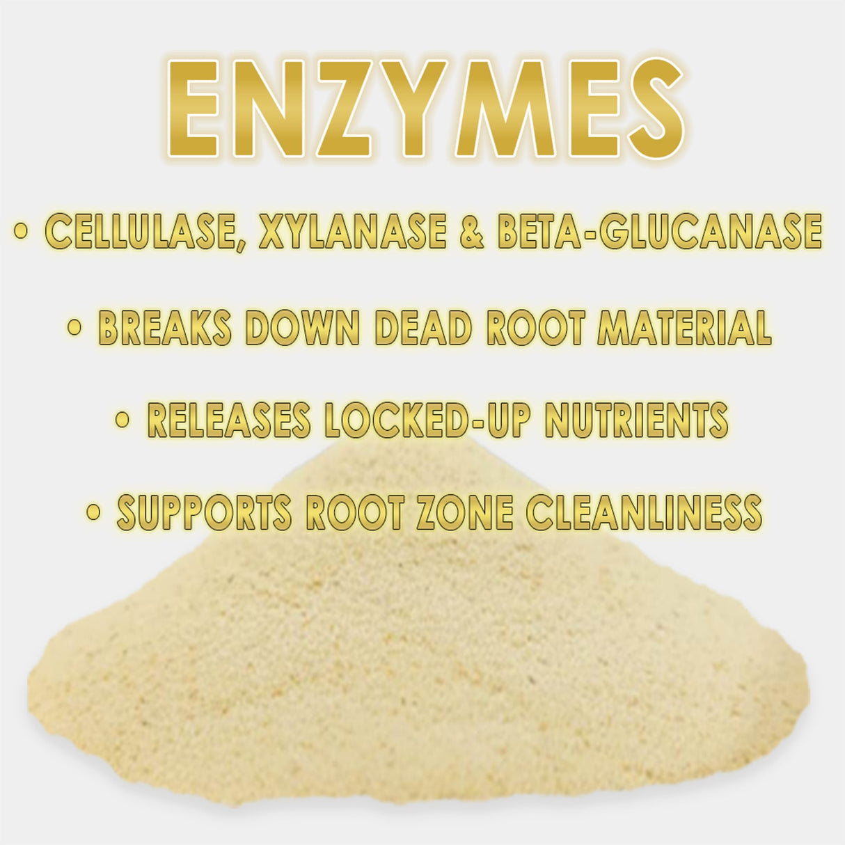 RAW Enzymes | Cellulase, Xylanase & Beta-Glucanase – Water-Soluble Enzyme Supplement