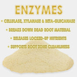 RAW Enzymes | Cellulase, Xylanase & Beta-Glucanase – Water-Soluble Enzyme Supplement