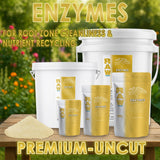 RAW Enzymes | Cellulase, Xylanase & Beta-Glucanase – Water-Soluble Enzyme Supplement