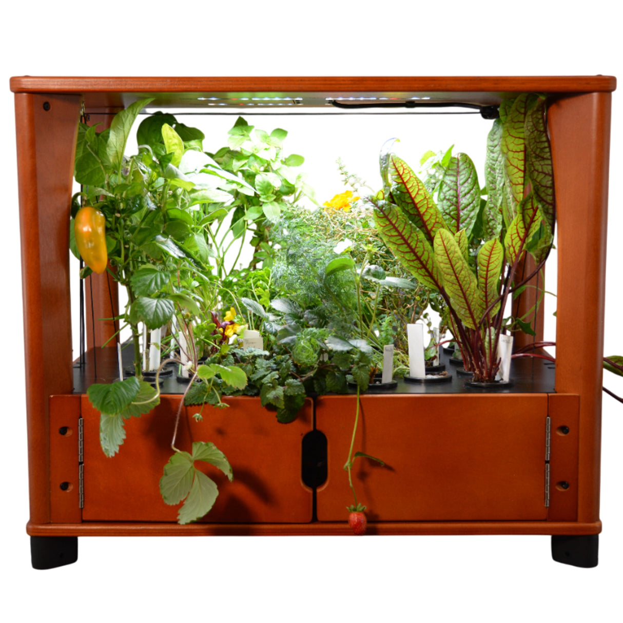 Aquager Hydroponic Home Farm