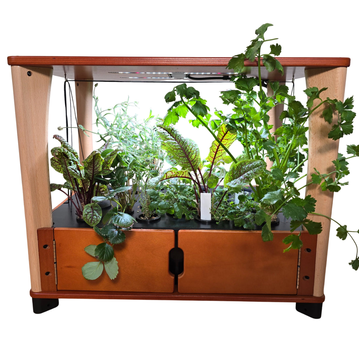 Aquager Hydroponic Home Farm