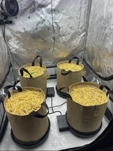 Grassroots AutoPot XL & XXL Fabric Pot with Handles