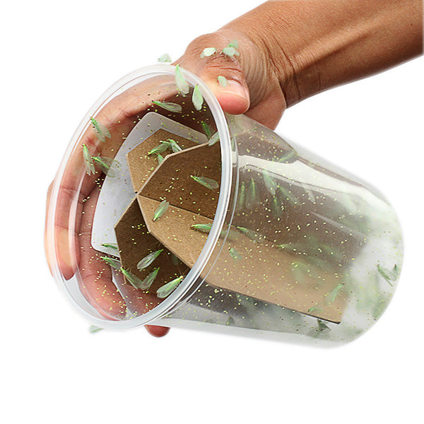 Heart-shaped transparent container with gold and green decorative items held by a hand.
