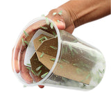 Heart-shaped transparent container with gold and green decorative items held by a hand.