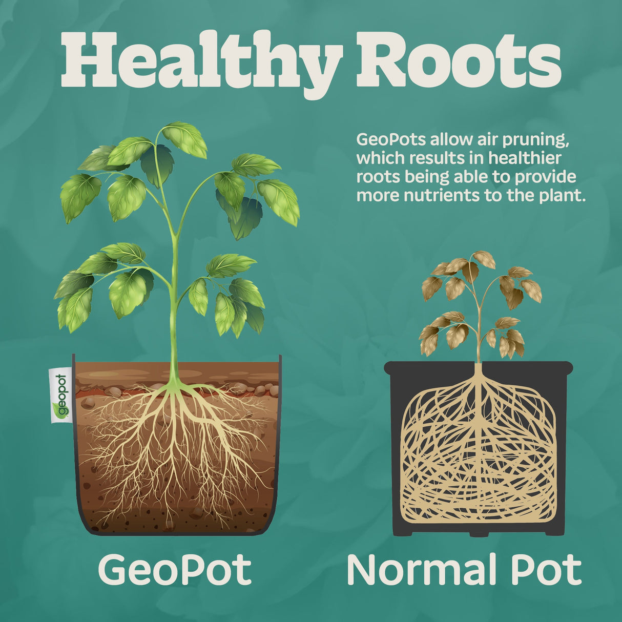 GeoPot Fabric Grow Bags with Handles - Black