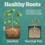 GeoPot Fabric Grow Bags With Handles - Tan