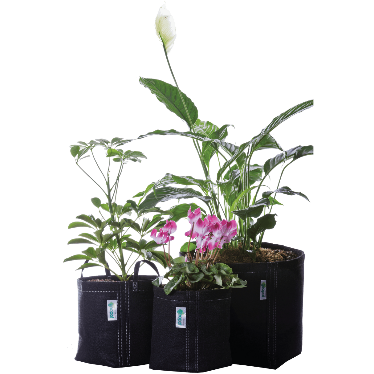 GeoPot Grow Bag Garden Kit