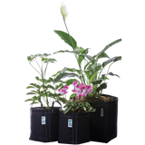 GeoPot Grow Bag Garden Kit