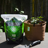 Geoflora Veg Organic Fertilizer (5-3-4)