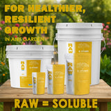 RAW B-Vitamin | Vitamin B1 + Magnesium Water-Soluble Plant Supplement