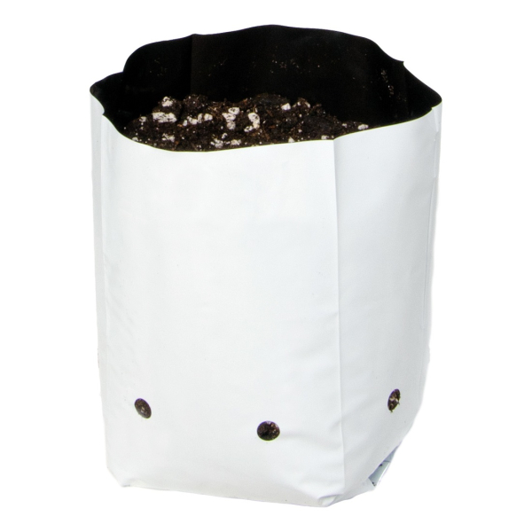 Grow Bag (Pack of 25)