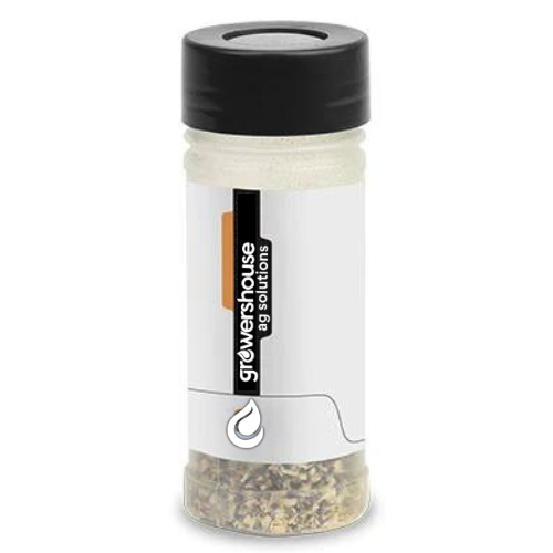 Orius insidiosus – Beneficial Minute Pirate Bugs for Thrips Control